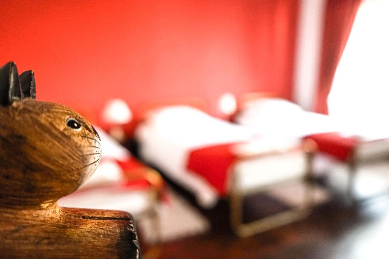Azores Dream Hostel Ponta Delgada Pokoj fotografie